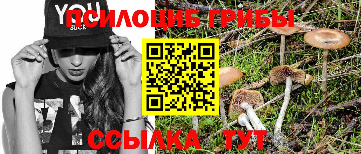 Абинск  купить   Вход с VPN  Галлюциногенные грибы MAGIC MUSHROOMS 