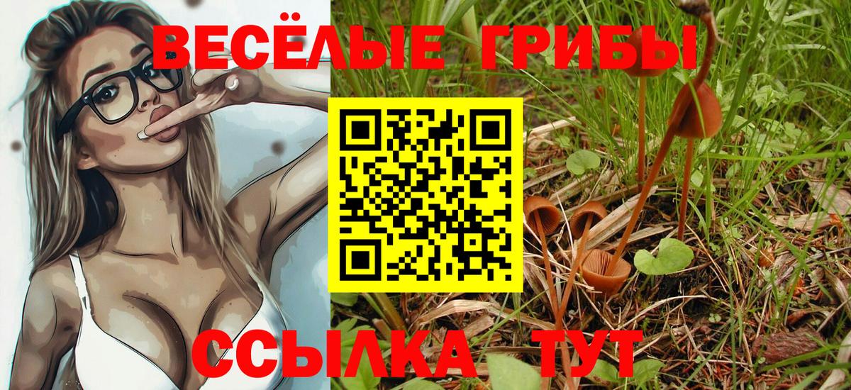Псилоцибиновые грибы Cubensis Абинск